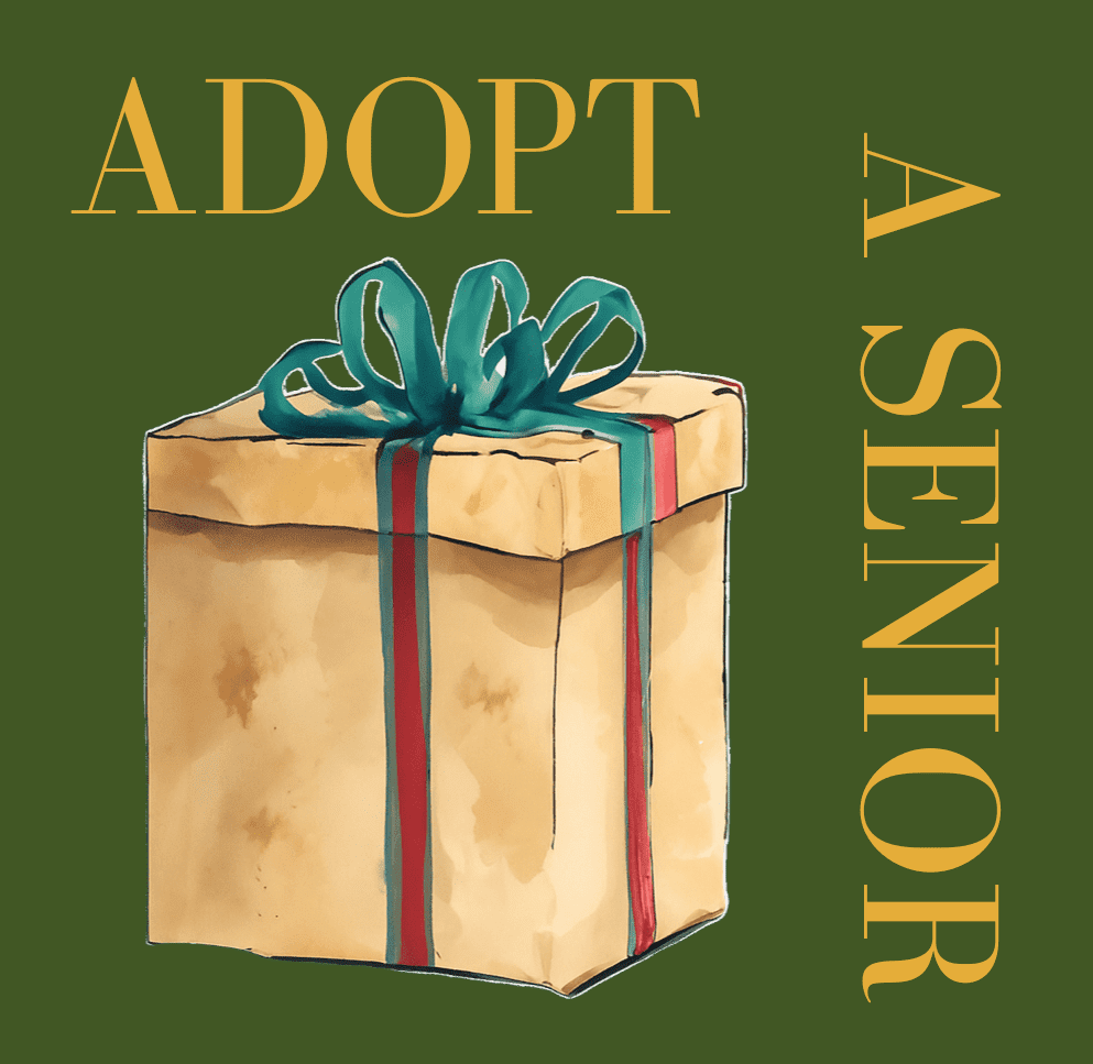 adopt a senior card